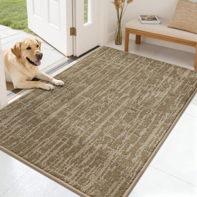 Non-Slip Absorbent Door Mat with TPR Backing – Soft, Washable, Low-Profile Doormat for Indoor Entrance, Perfect for Pets & Family