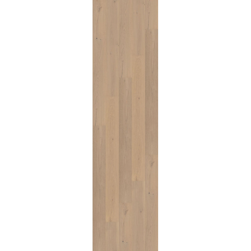 Plancher de bois franc d'ingénierie brossé au fil de fer l 9,45 po x T 15 mm Tiers, Bois beige