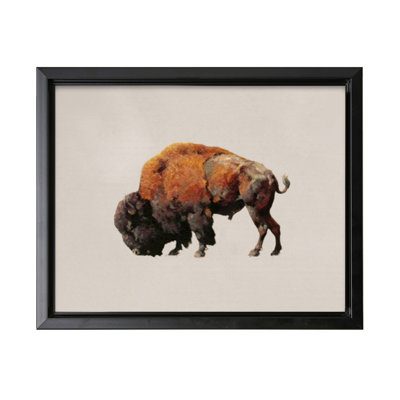 Bison Bull