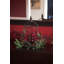 Candelabrum Arrangement in Free-Standing