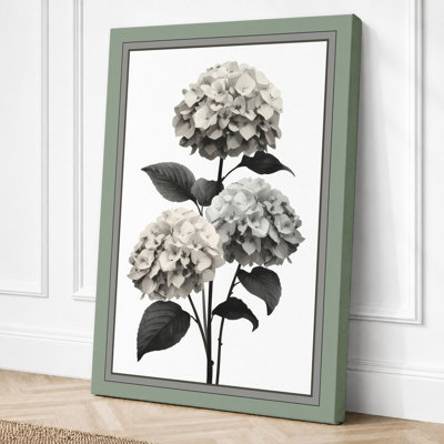 Hydrangea Study Botanical - Wrapped Canvas