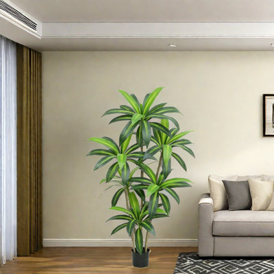 Annetraud 150cm Plant