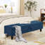 Banc de rangement rembourré Delshawn-1330379188