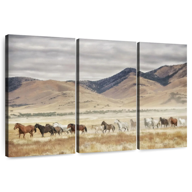 Alvord Horse Run II, 48" H x 74" W