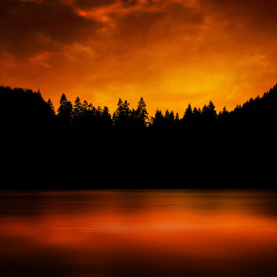 Forest Fire by Sharply_done - No Frame Art Prints on Canvas
