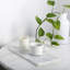 Plateau rectangulaire Guein