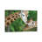 Giraffe In Love by Goran Anastasovski - Wrapped Canvas Print-869662605