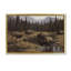 «Wild Bison Grazing at Stream», art mural sur toile flottant gris, design par Paco Young-911388709-911388706