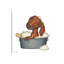 Dachshund Bath - Print on Canvas-1860830240-1867025513