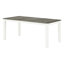 Repas antique brun et blanc avec 6 chaises rembourrées et table extensible