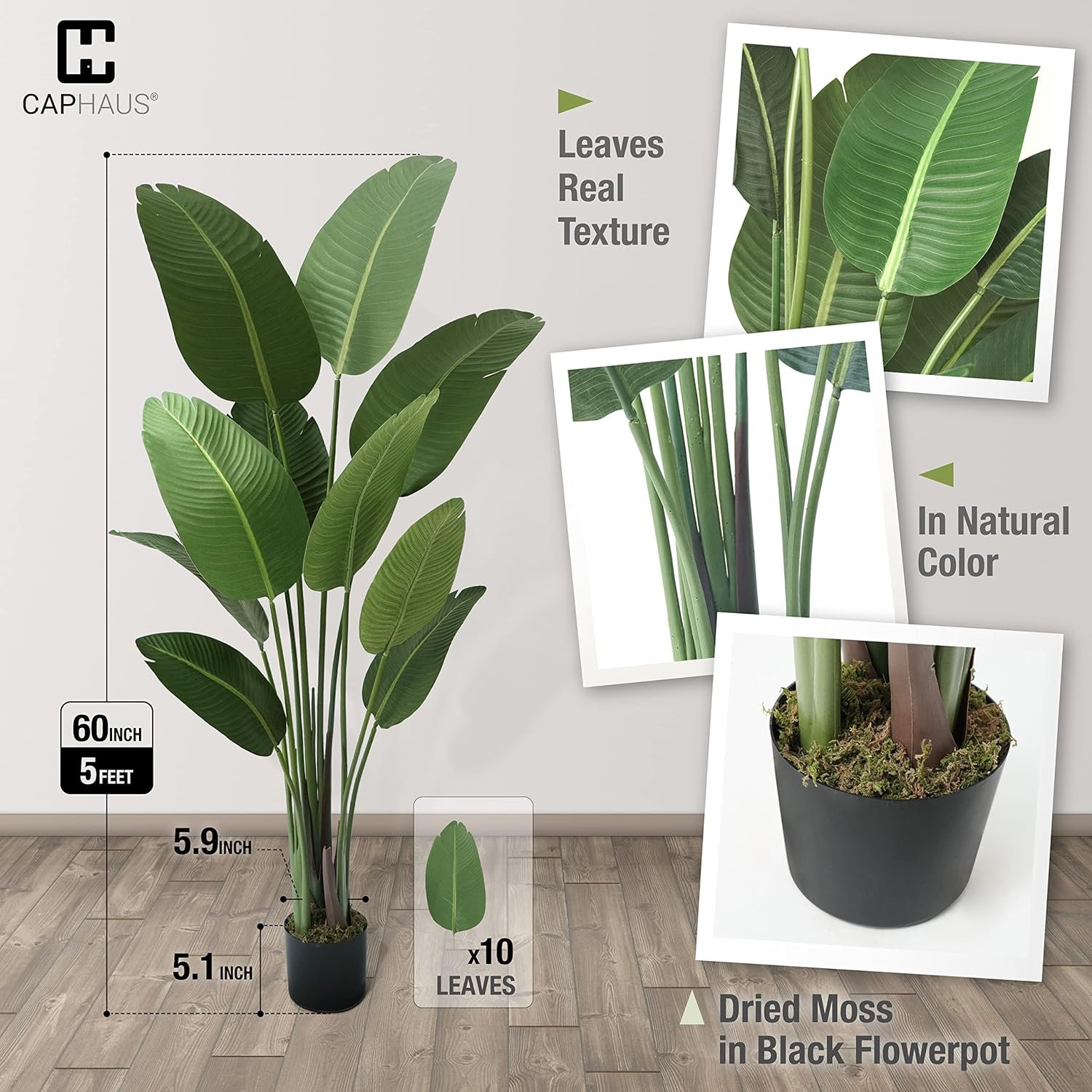 Bird of Paradise in Pot, 60" H x 6.5" W x 6.5" D