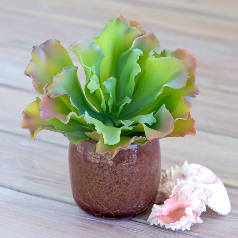 Faux Plant