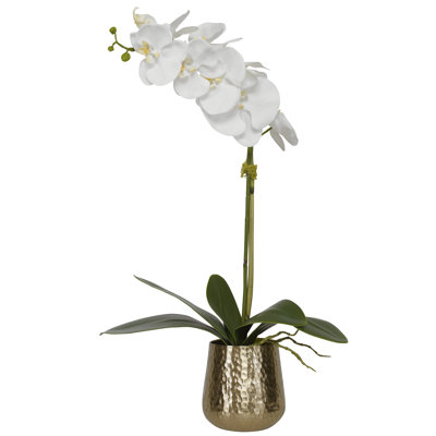 Centre de table Cami Orchid