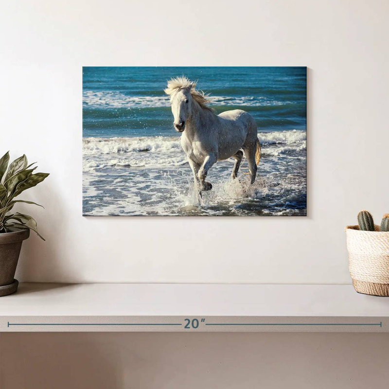 Brampt Camargue qui court sur la plage, H 8 po x l 12 po