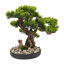 Bonsai artificiel de bureau