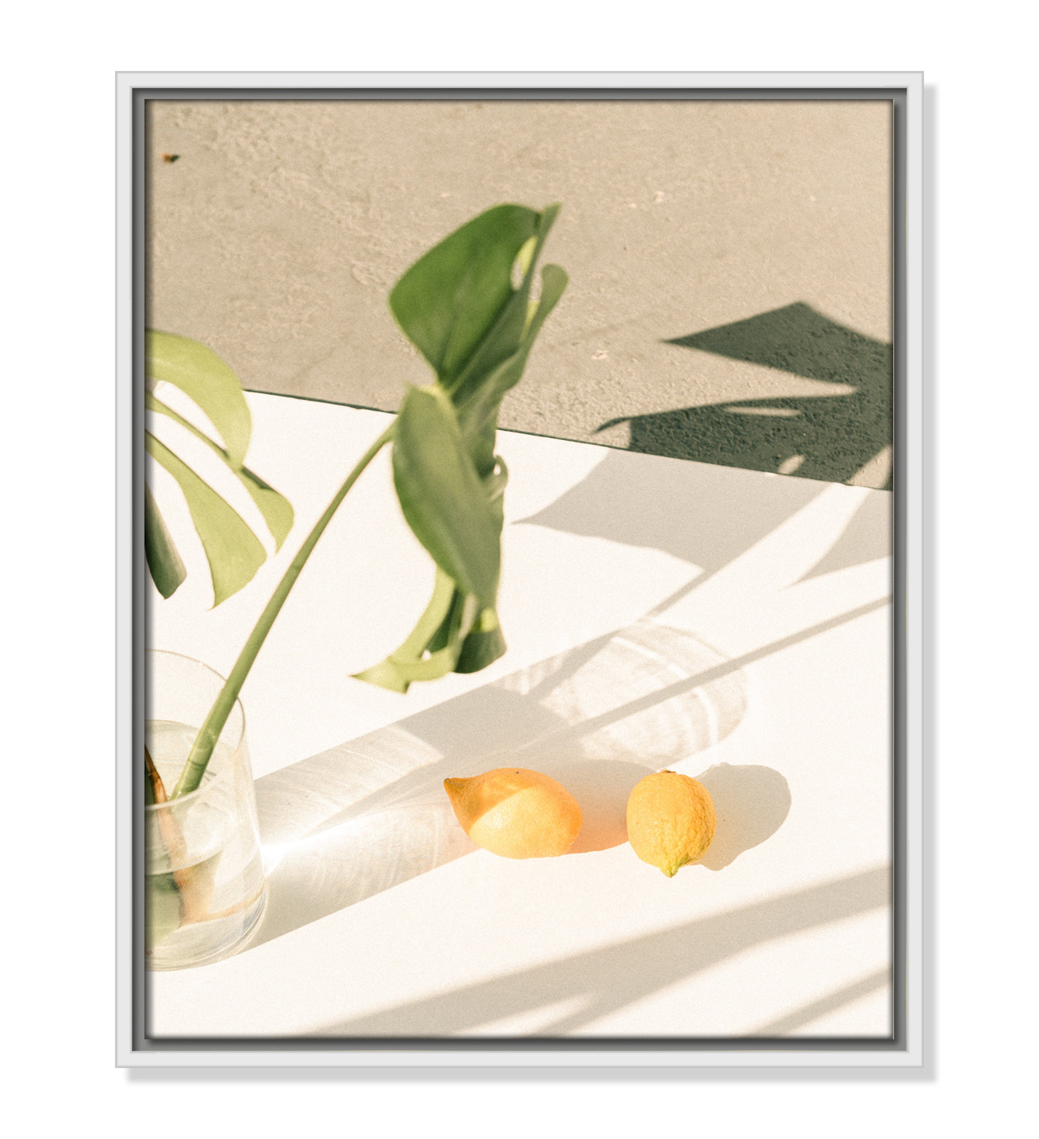 Citrus and Palms Print, 21.5'' H x 17.5'' W x 2'' D, White Framed