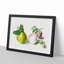 Pear & Plum by E.G. Van De Kasteele - Picture Frame Painting Print-55739211-55739214