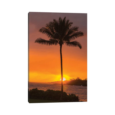 " USA, Hawaii, Kauai, Lawai. Palm Tree At Sunset " by Jaynes Gallery