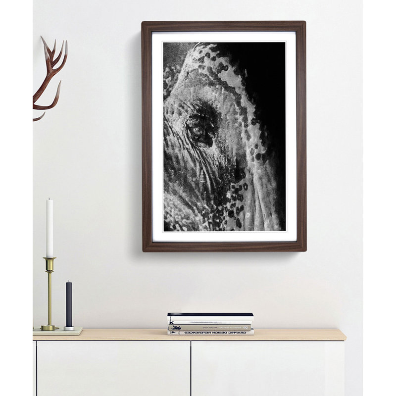 Watchful Elephant - Framed Print, Walnut Framed, 36cm H x 27cm W x 2cm D