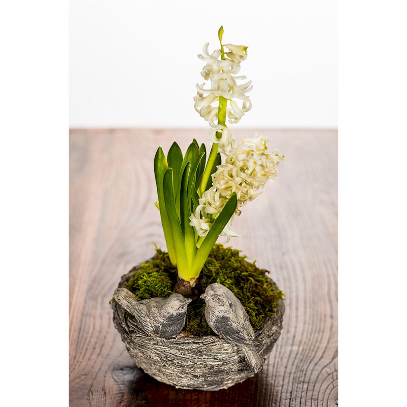 Pot à fleurs en résine Okane