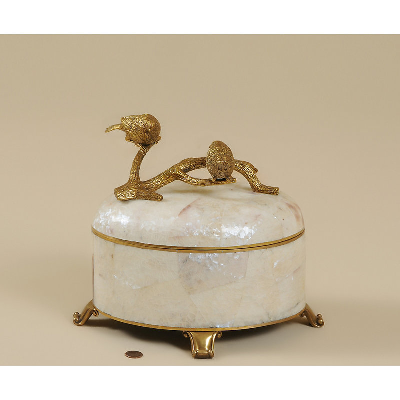 Hammer Shell Decorative Box