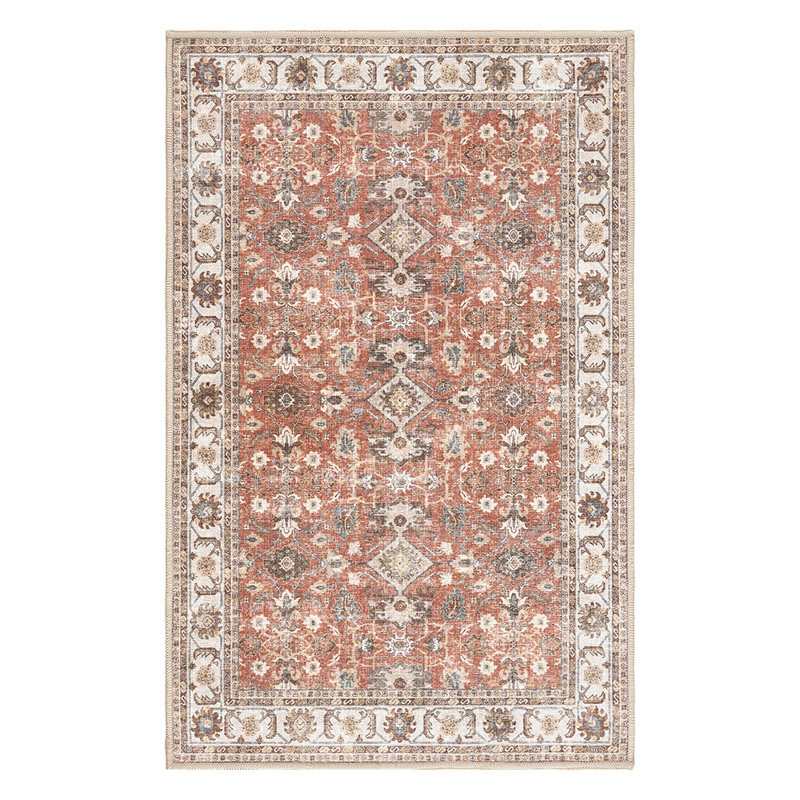 Nily Chenille Mashine Washable Vintage Indoor Arae Rug with Non-Slip Backing for Bedroom Living Room Kitchen Entryway