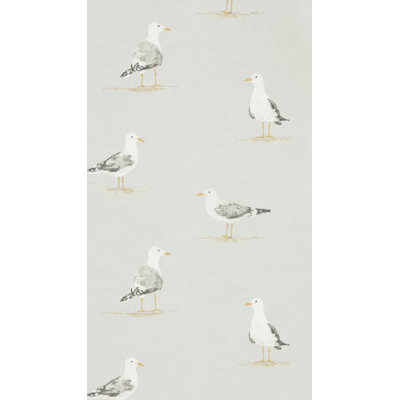 Shore Birds