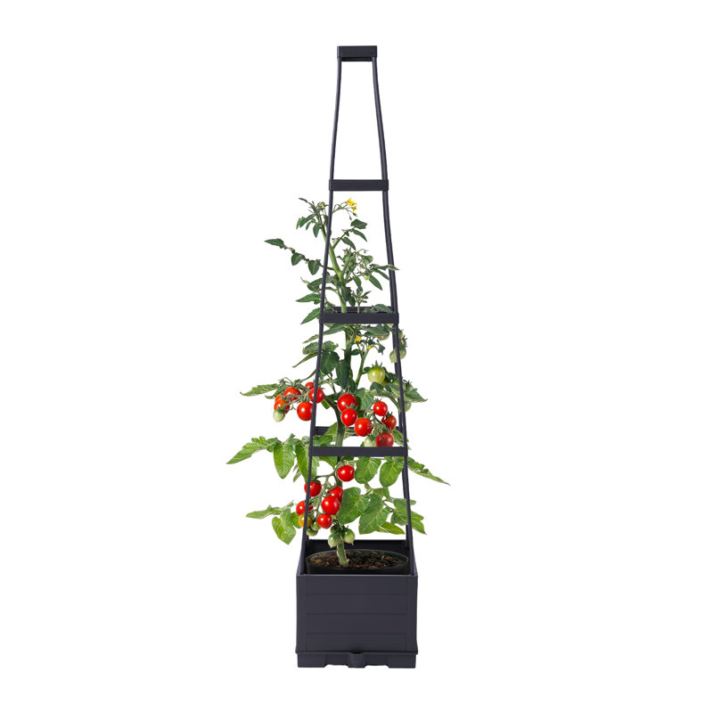 Plant Stand