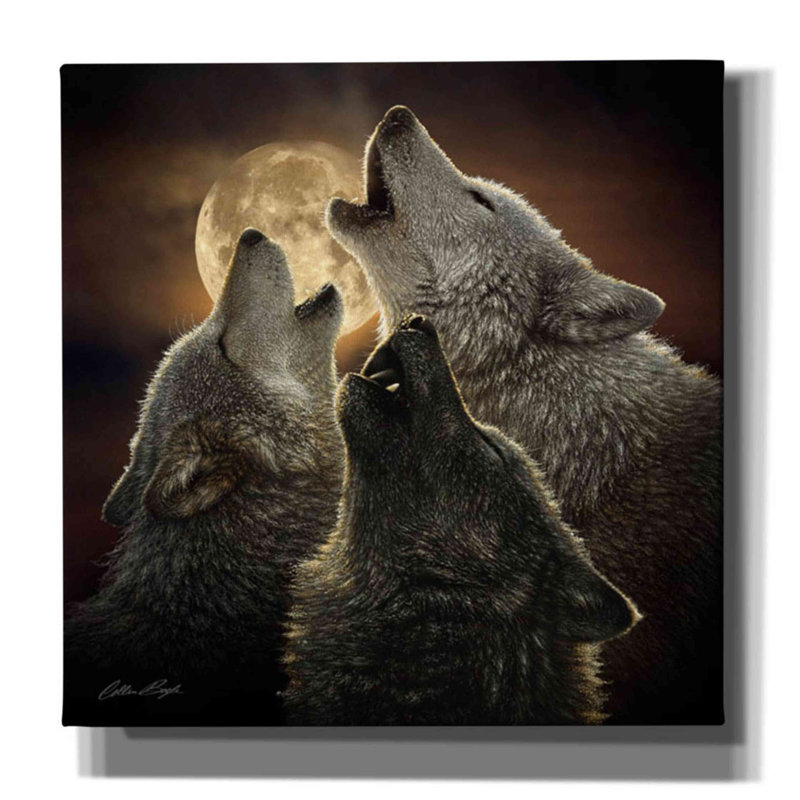 «Wolf Trinity» par Collin Bogle, art mural sur toile, H 26 po x l 26 po x P 1,5 po