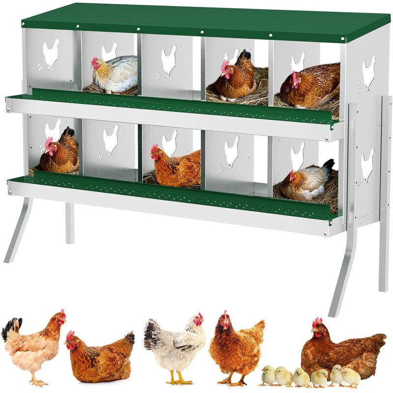 Chicken Egg Incubator For Up To, Green
