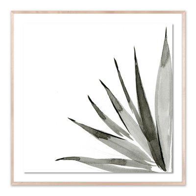 Agave I Print by Jess Engle