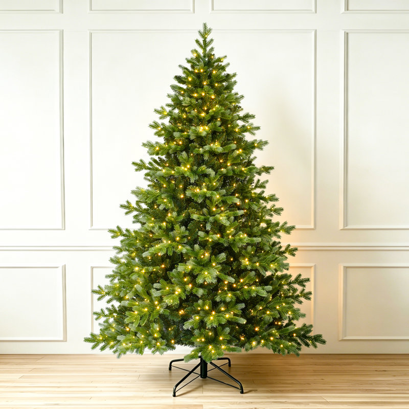 Arbre de Noël, H 7 pi