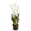 Stiles Faux Flowering Plant