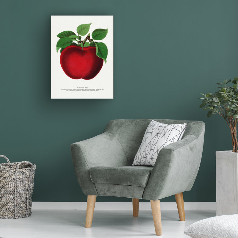 Reproduction d'art sur toile, "ologic botanic "par pomme rouge, H 19 po x l 14 po