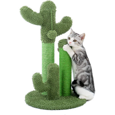 Grattoir route avec griffoir et cactus