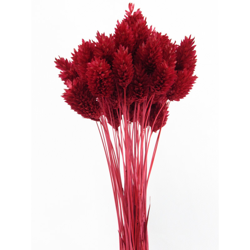 Arrangement, Red
