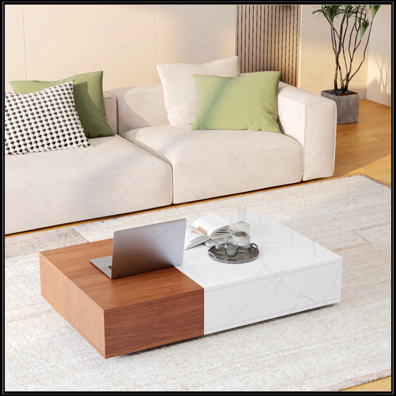 Table basse de style moderne avec deux espaces de rangement