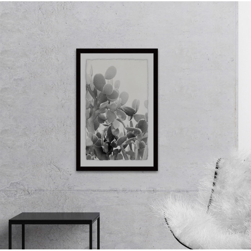 « round succulent radicales », impression encadrée sur papier, H 12 po x l 8 po x P 1,5 po