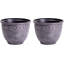 Cennie Pot Planter