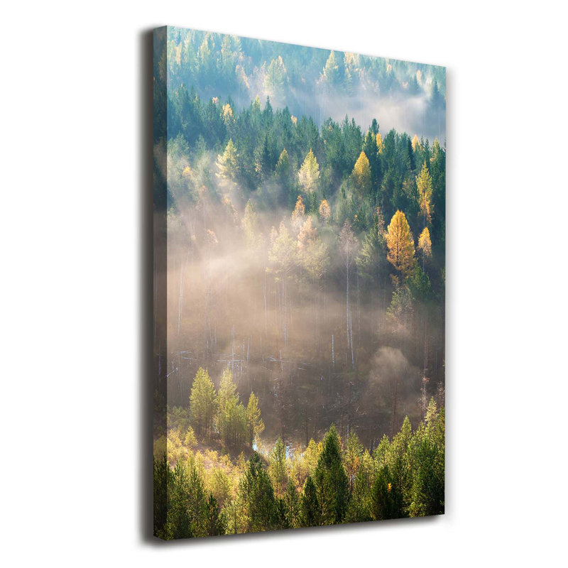 Fog Over The Forest - Wrapped Canvas Print