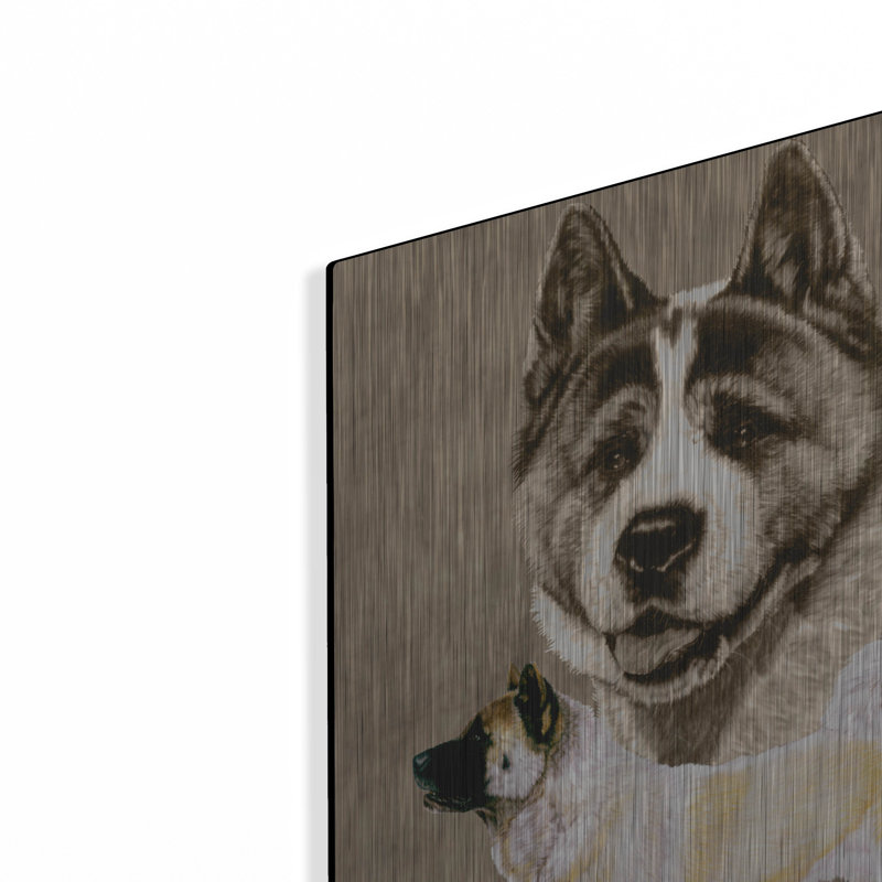 "Akita" par Barbara Keith, H 24 po x l 16 po