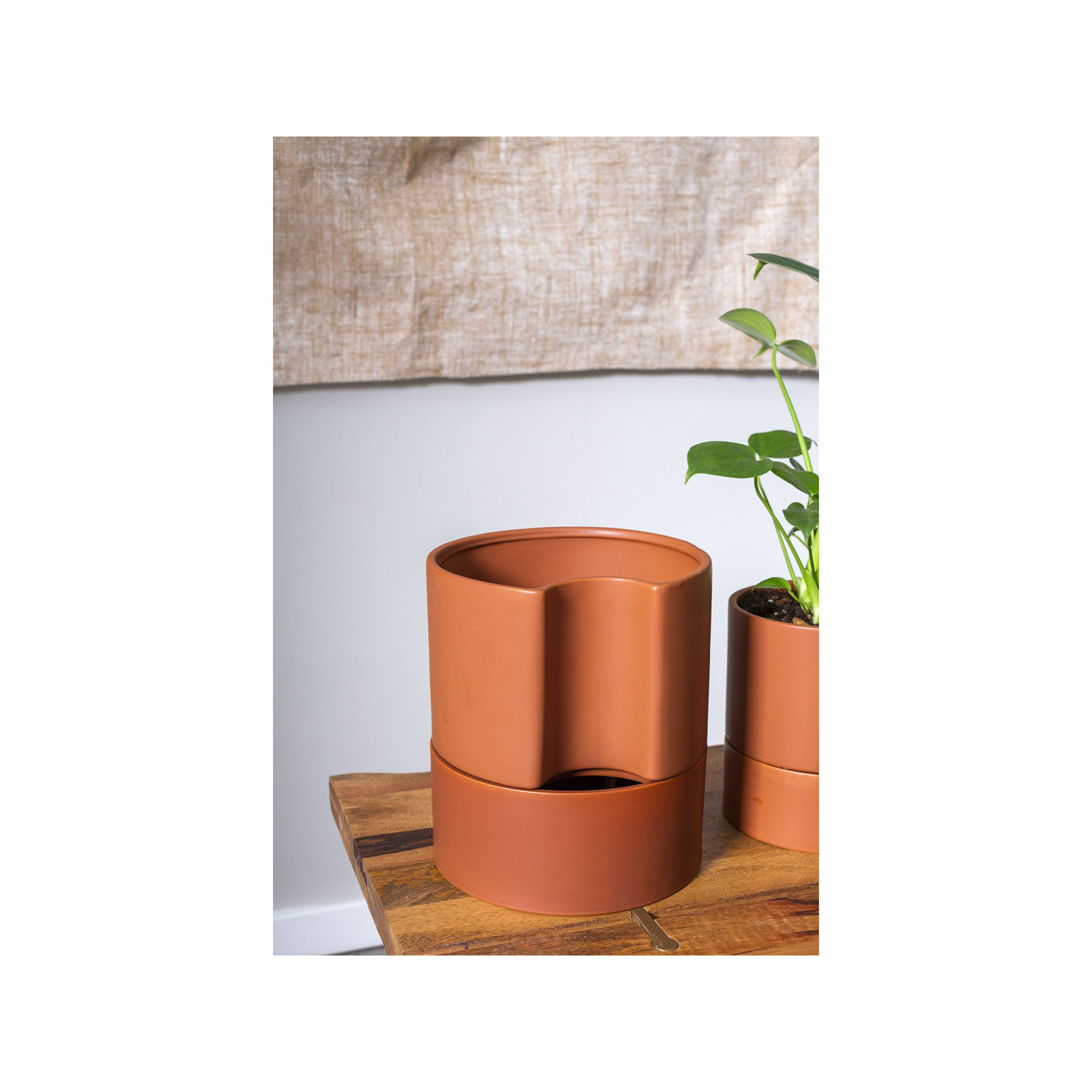 Patti Handmade Ceramic Pot Planter, 9" H x 8" W x 8" D, Terracotta