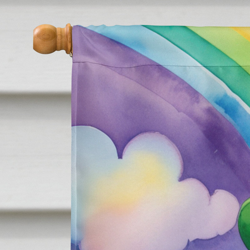 Drapeau double face en polyester H 40 po x l 28 po St Patrick's Day House