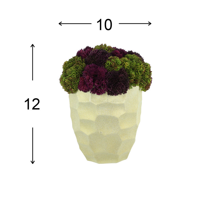 Helena Sedum Arrangement