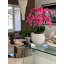 Phalaenopsis Orchid Floral Arrangement in Pot-1766237182