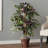4' Artificial Capensia Bush, Rattan Basket