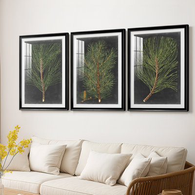 Dramatic Pine I  -Custom Framed  Premium Print W Matt - 3 Pieces