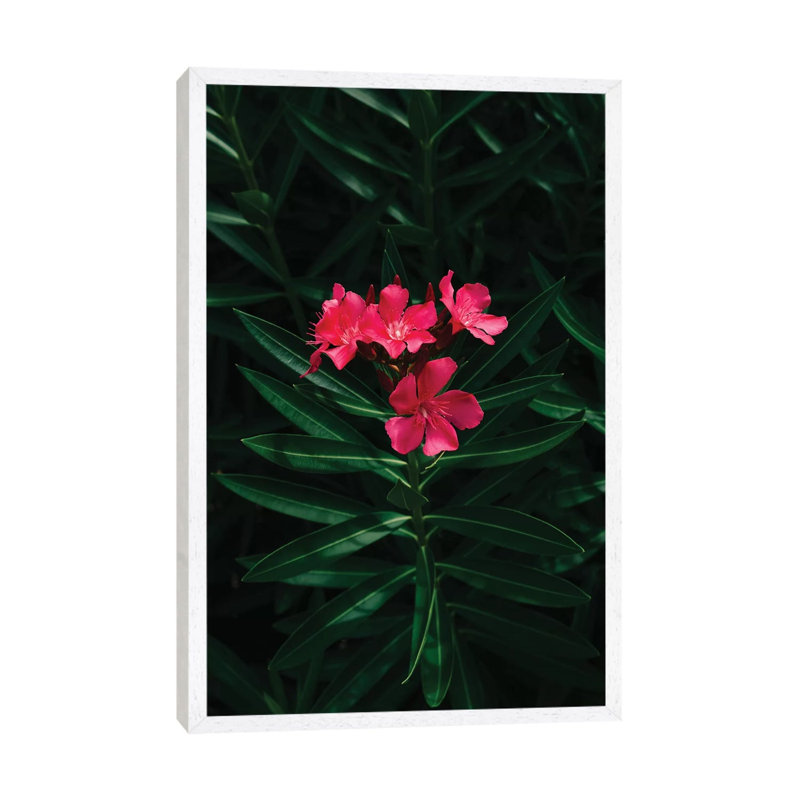 Florida Blooms 1 Piece Wall Art on Canvas, 66.04cm H x 45.72cm W x 3.81cm D, White Framed