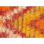 One-of-a-Kind 3'11" X 5'10" Area Rug