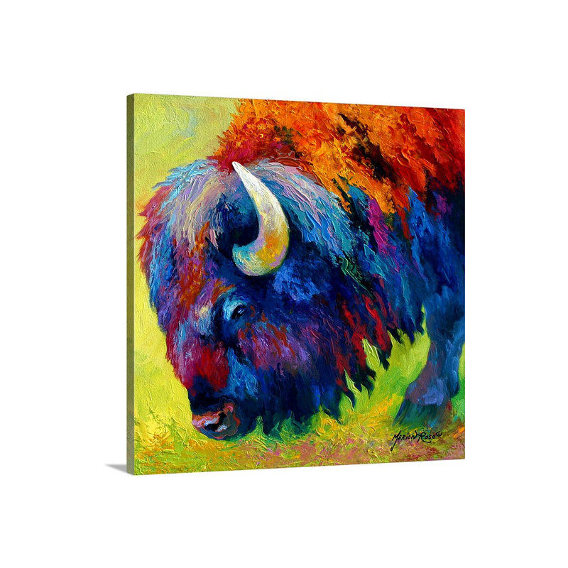 «Aigars Bison Portrait II» par Marion Rose, reproduction d'art sur toile, H 24 po x l 24 po x P 1,25 po